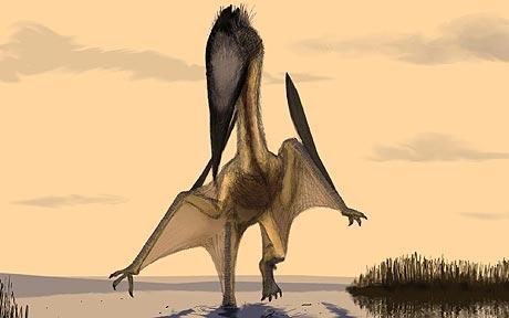 pterosaurs-460_1126151c